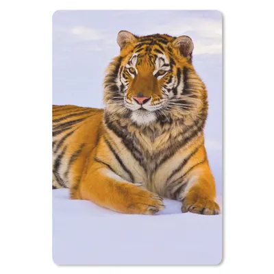 Produktbild von MuchoWow® Mauspad Mousepad Tiger - Schnee - Winter - Tiere 18x27 cm - Mousepads - Maus Mat - Pad - Mausunterlage