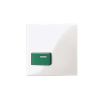 Produktbild von Merten Zentralplatte pws/gl 451519
