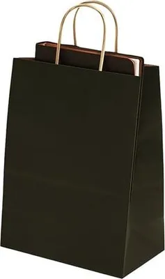 Produktbild von Geschenktüte 305 x 170 x 425 Schwarz