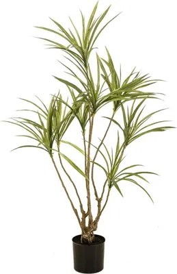 Produktbild von artplants.de Künstlicher Dracaena marginata SHALLU, Kunststämme, grün, 120cm - Kunst Drachenbaum