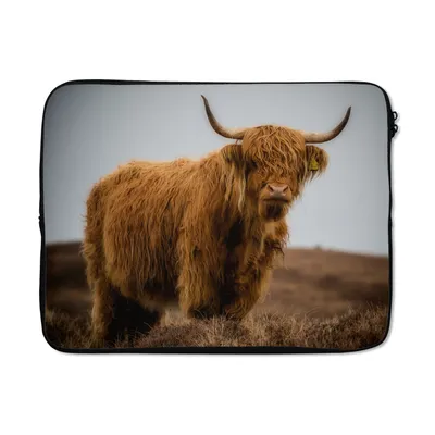 Produktbild von MuchoWow® Laptop Hülle 15 Zoll Schottischer Highlander - Düne - Gras Laptoptasche - Laptoptasche - Sleeve - Rundum-Schutz