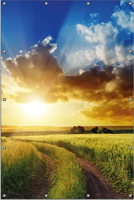 Produktbild von Wallario Outdoor-Poster für Garten oder Balkon, Motiv Feldweg in den Sonnenuntergang, in ca. 120 x 180 cm