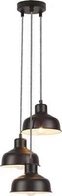Produktbild von Pendelleuchte Owen aus Metall Metall matt schwarz Ø18cm H:115cm