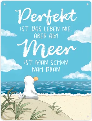 Produktbild von Möwe am Strand Metallschild XXL in 28x38 cm mit Spruch Leben am Meer fast