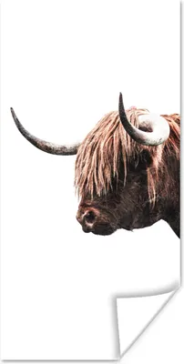 Produktbild von MuchoWow® Poster Schottischer Highlander - Hoorn - Porträt 20x40 cm - Plakat - Foto