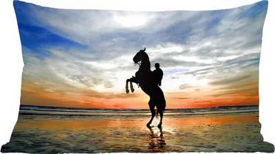Produktbild von MuchoWow® Zierkissen Sofakissen Wohnzimmer Dekokissen 50x30 cm Pferd - Himmel - Schatten - Wohnzimmerdekoration - Polster mit Photo