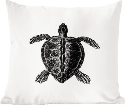 Produktbild von MuchoWow® Zierkissen Sofakissen Wohnzimmer Dekokissen 40x40 cm Jahrgang - Schildkröte - Tiere - Foto Kissen - Schlafzimmer Dekoration