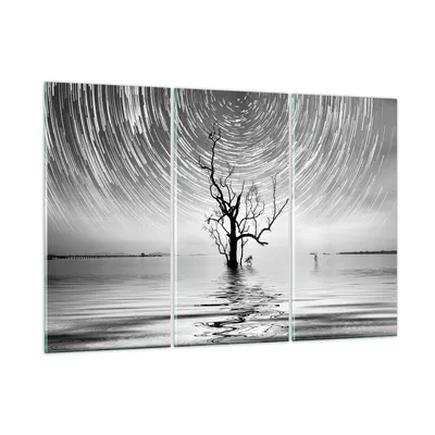 Produktbild von Bilder auf glas - 3 Teile - Schwarzweiß Baum See - 105x70cm - Glasbilder - Wandbilder - Bilder - zum Aufhängen bereit - Wanddekoration aus Glas - Glas Bilder - Wandbild auf Glas - GCE105x70-4253