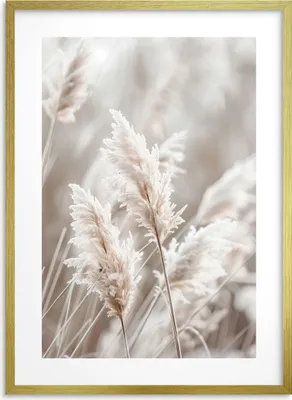 Produktbild von Bild Poster für die Wand in einem goldenen Rahmen Wanddekoration für das Wohnzimmer Boho Gräser