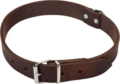 Immagine prodotto di Beeztees - Collare per cani - pelle - marrone - 47-57 cm x 25 mm