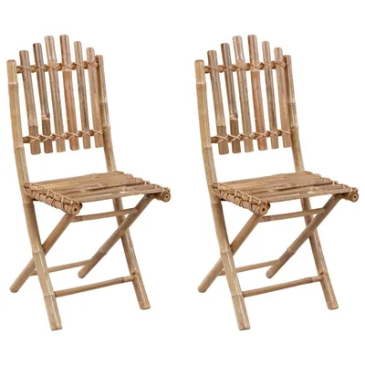 Image de vidaXL Chaises de jardin pliantes 2 pcs. avec coussins bambou