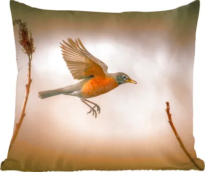Produktbild von MuchoWow® Zierkissen Sofakissen Wohnzimmer Dekokissen 45x45 cm Rotkehlchen - Flügel - Natur - Schlafpolster - Polster für das Sofa