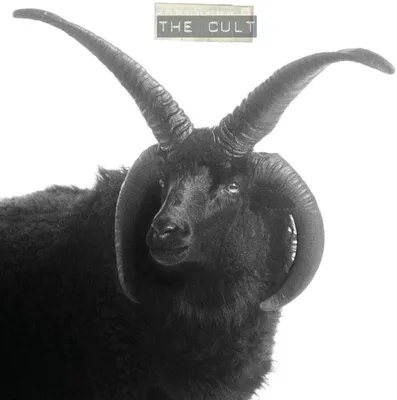 Zdjęcie produktu dla The Cult - The Cult (Limited Edition) (2 LP)