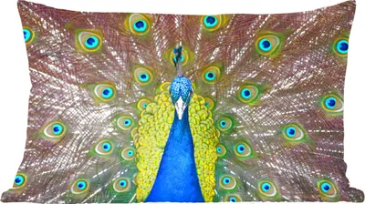 Produktbild von MuchoWow® Zierkissen Sofakissen Wohnzimmer Dekokissen 50x30 cm Pfau - Federn - Augen - Wohnzimmerdekoration - Polster mit Photo
