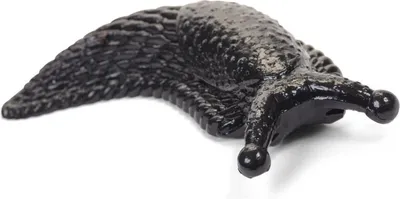 Produktbild von Lepki ślimak rozciągliwy czarny 12 cm