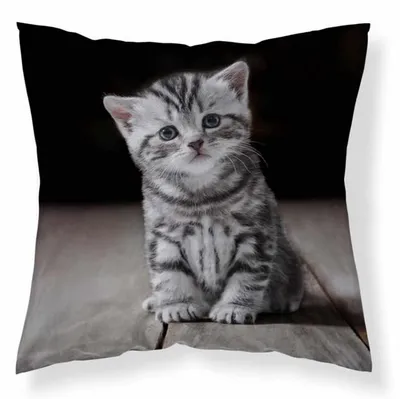 Produktbild von Kissenbezug, Dekokissenbezug, Kinderkissenbezug 40x40 Katze 050