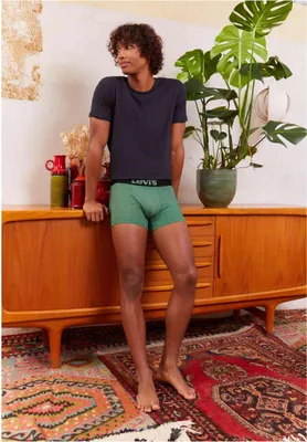 Obrázek produktu pro Boxerky Levi's 701203921-019 pro Pánské