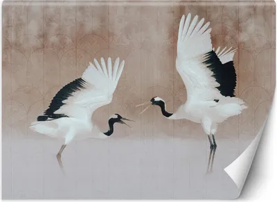 Produktbild von Vlies fototapete Reiher Vögel Beige 350x245 cm Feeby Beige inkl. Kleber einfache Montage