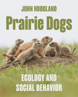 Image de Prairie Dogs