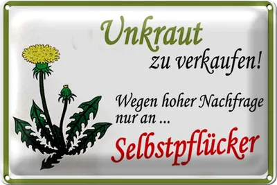 Produktbild von Blechschild Spruch 12x18cm Unkraut verkaufen Selbstpfücker