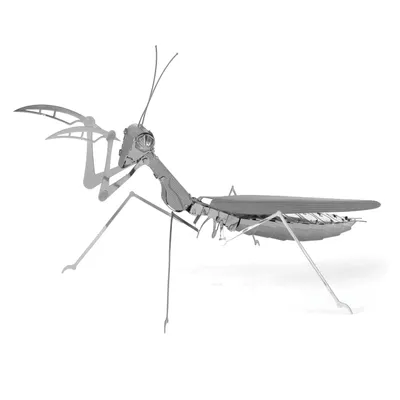 Produktbild von Metal Earth Praying Mantis, Bausatz, Metall