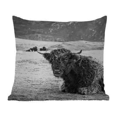 Obrázek produktu pro MuchoWow® Vnější polštář - Skotský horal - Hory - Zvířata -60x60 cm- Odolnost proti povětrnostním vlivům - polštář do obývacího pokoje