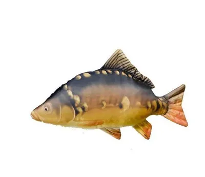 Produktbild von Fish Plüschtier Stofftier Plüschkissen Fischkissen Geschenkidee Kuscheltier 90 CM