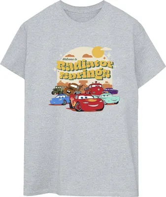 Produktbild von Disney - "Cars Radiator Springs" T-Shirt für Damen BI16251 (3XL) (Grau)