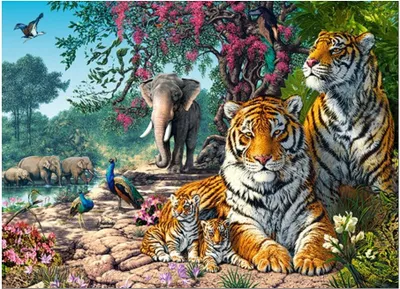 Zdjęcie produktu dla Puzzle 300 elementów Castorland - Sanktuarium tygrysów