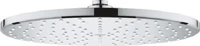 A close-up, studio shot of a chrome shower head against a white background.
