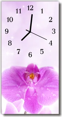 Produktbild von Tulup Glasuhr Wanduhr Küchenuhr Echt-Glas 30x60 Orchidee Rosa