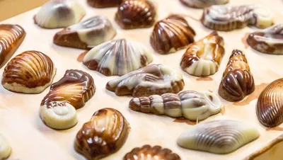 Produktbild von MaitreTruffout Belgische Muschelpralinen 50 g