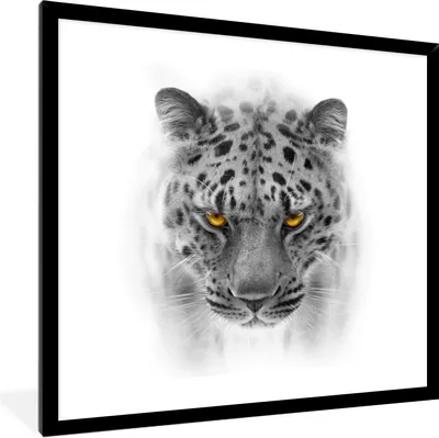 Produktbild von MuchoWow® Gerahmtes Poster Leopard - Schwarz - Weiß - Tiere 40x40 cm - Poster mit Schwarzem Bilderrahmen Wandposter Rahmen Foto Bilder - Mit Rahmen - Wanddekoration Schlafzimmer