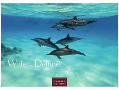 Image de Calendrier 2027 « Baleines et dauphins » - Calendrier mural | Calendrier photo « Animaux » 24 x 35 cm - Des photographies de grande qualité représentant des baleines et des dauphins qui vous émerveilleront chaque mois.