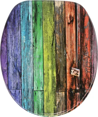 Produktbild von SANILO® WC-Sitz mit Absenkautomatik Rainbow