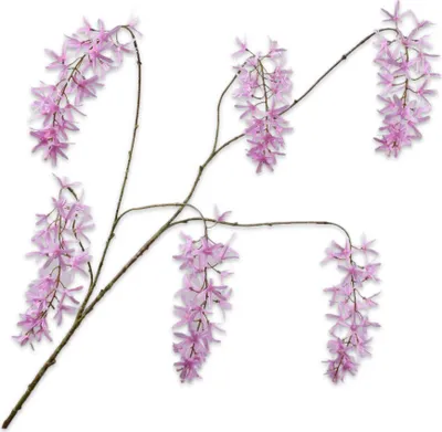 Produktbild von Silk-ka Künstliche Blumen-Seidenblumen Glyzinienzweig Rosa 133 cm