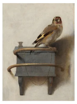 Productafbeelding van Museumwebshop – Kunstboek met zachte kaft, schetsboek, Carel Fabritius, "Het Puttertje"