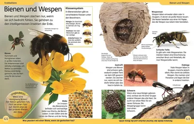 Obrázok produktu pre DK Kinderlexikon. Tiere
