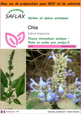 Image de SAFLAX Garden in the bag - Chia - 500 graines - Salvia