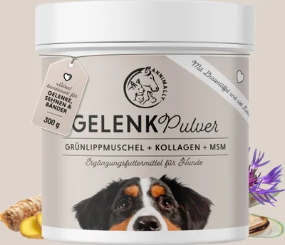 Produktbild von Gelenkpulver für Hunde 300 g - Grünlippmuschel, Kollagen, Glucosamin, MSM, Chondroitin, uvm. - bei Gelenkschmerzen & Gelenkproblemen Hund