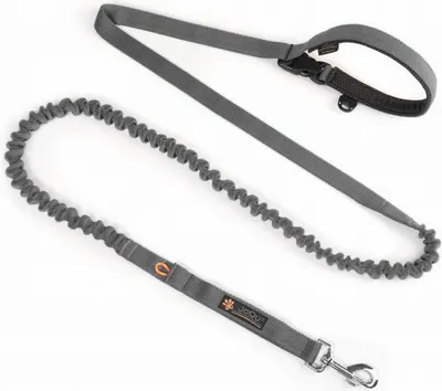 Immagine prodotto di JoQu Due guinzagli con ammortizzatore, grigio