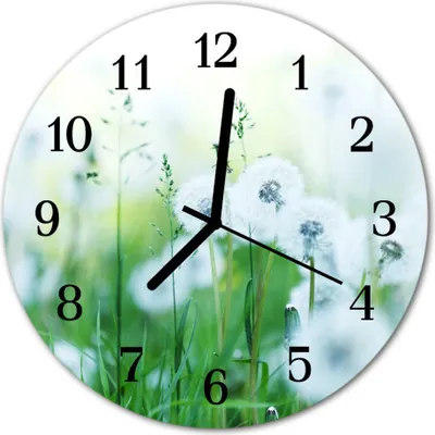 Produktbild von Glasuhr Wanduhr Küchenuhr Echt-Glas 30fi cm Wiese grün