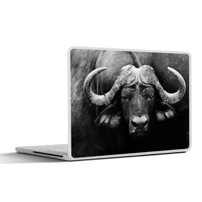 Produktbild von MuchoWow® Laptop Aufkleber Sticker Cover Tiere - Büffel - Schwarz - Weiß - Porträt 36.5x27.5 cm - Laptop-Sticker