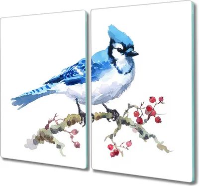 Produktbild von Coloray Kochplattenabdeckung Herdabdeckplatte 2x30x52 cm Hackbrett Schneidebrett Küchenbrett - Meeresfrüchte Tier Vogel