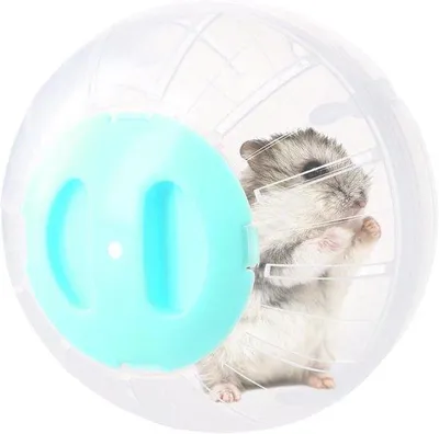 Produktbild von Kleine Übungs-Kugel für Zwerg-Hamster, 14,5cm, Durchsichtig, Blau