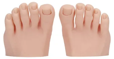 Image de Pied en silicone d'entraînement - Pied artificiel - Demi-pied mannequin - Modèle pour la pratique de la manucure - Modèle pour la pratique du tatouage - Lavable et réutilisable - Modèle de pied pour ongles