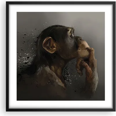 Produktbild von Gerahmtes Poster - Schwarzer Rahmen - Schimpanse Porträt Grafik - 50x50 cm - Wand Bild - Wanddeko - Wandbilder - Kunstposter - Wandposter - Bilderrahmen - Bilder - Kunstdruck - P2BAC50x50-4676