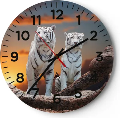 Produktbild von Wanduhr - Rund - Glasuhr - Tiger weiß Rock Sonnenuntergang - 30x30cm - Schleichendes Uhrwerk - Lautlos - zum Aufhängen bereit - Dekoration Modern - Wanddekoration aus Glas - C4AR30x30-2901