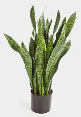 Produktbild von artplants.de Künstliche Sansevieria, grün, getopft, 95cm - Bogenhanf Kunstpflanze - Künstliche Zimmerpflanze