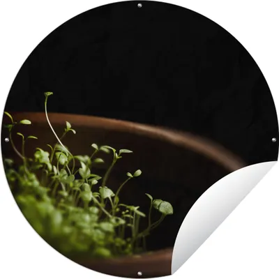 Produktbild von MuchoWow®